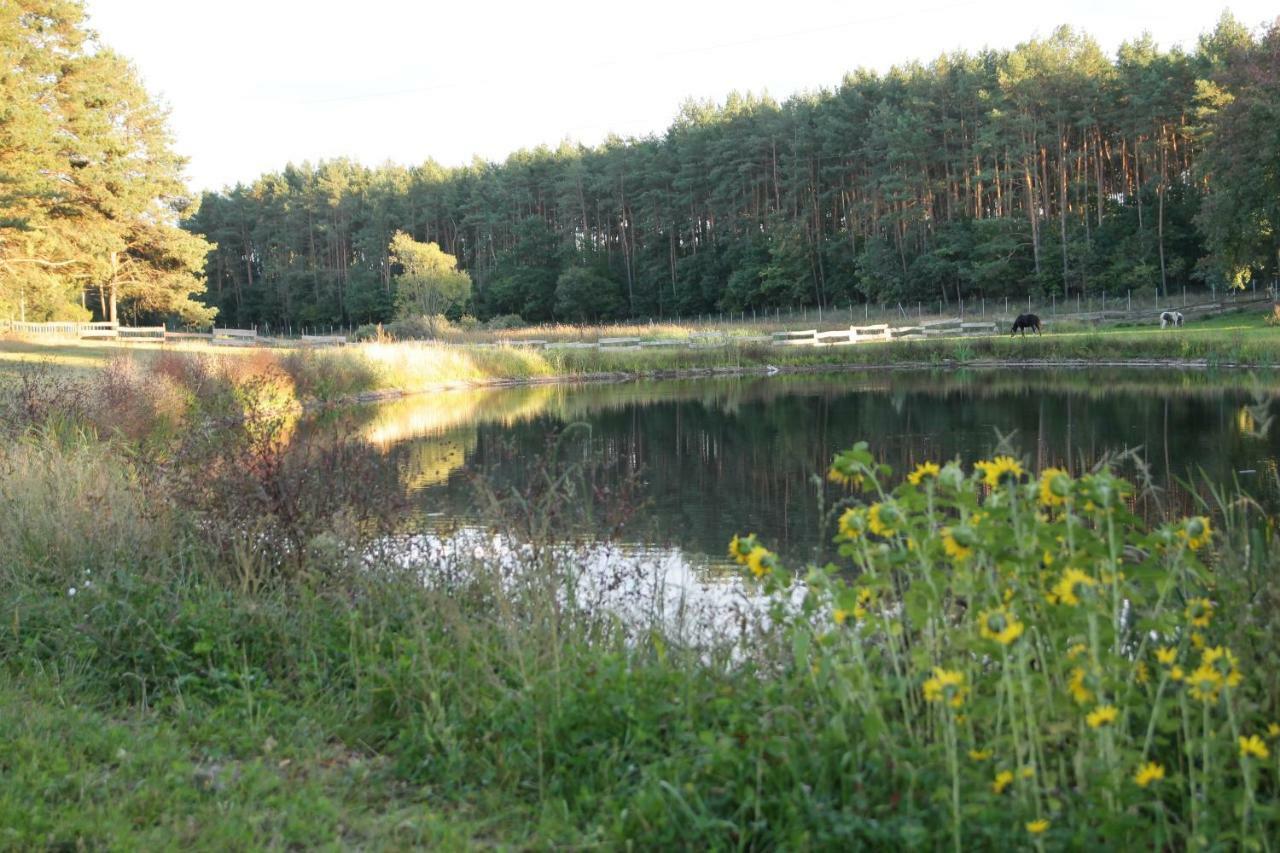 Quatro Osrodek Jezdziecki - Gospodarstwo Agroturystyczne Pobiedziska Exterior foto