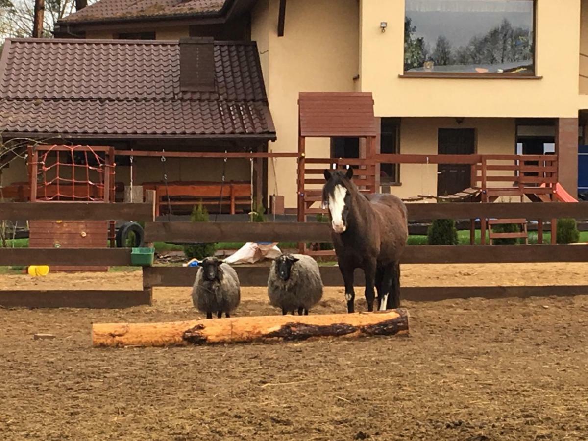 Quatro Osrodek Jezdziecki - Gospodarstwo Agroturystyczne Pobiedziska Exterior foto