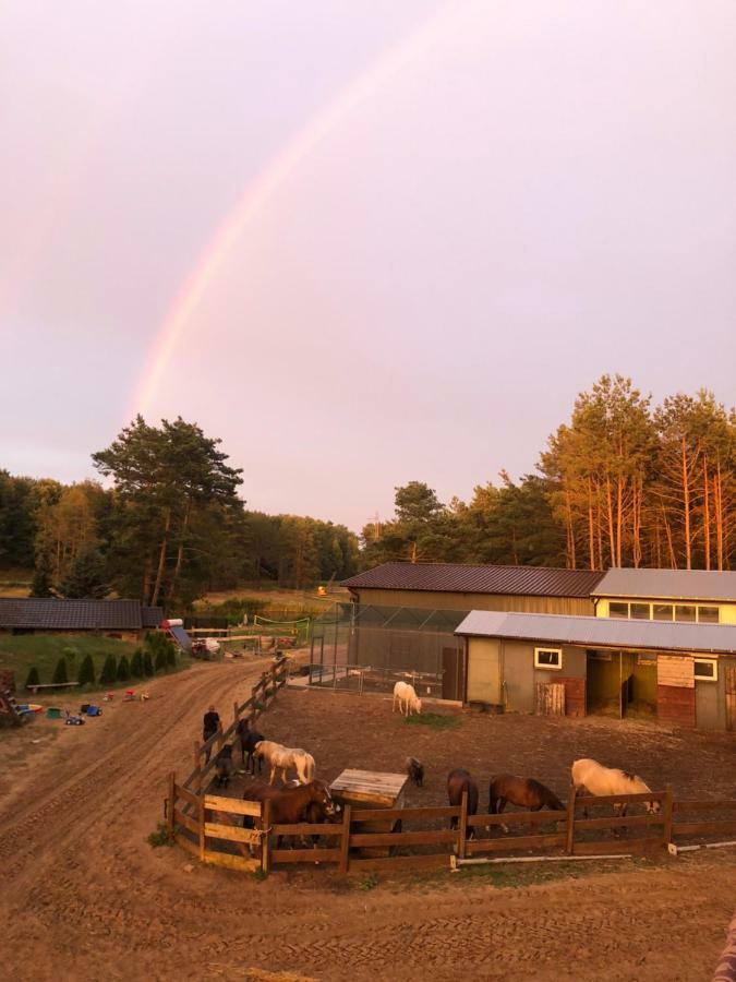 Quatro Osrodek Jezdziecki - Gospodarstwo Agroturystyczne Pobiedziska Exterior foto